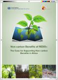Non-carbon benefits of REDD+: the case for supporting non-carbon benefits in Africa
